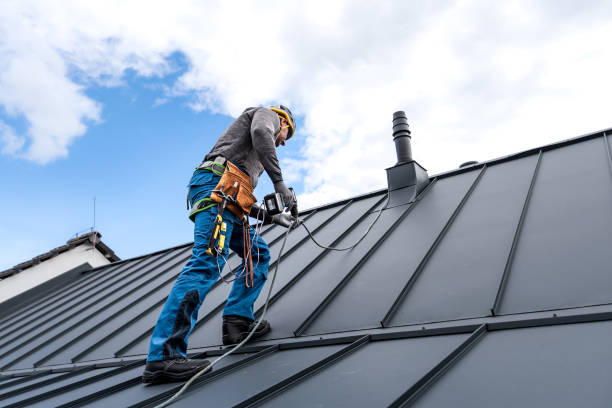 Trusted Zionsville, IN Roofing service Experts